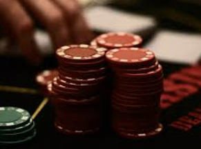 bwin必赢2024最新版